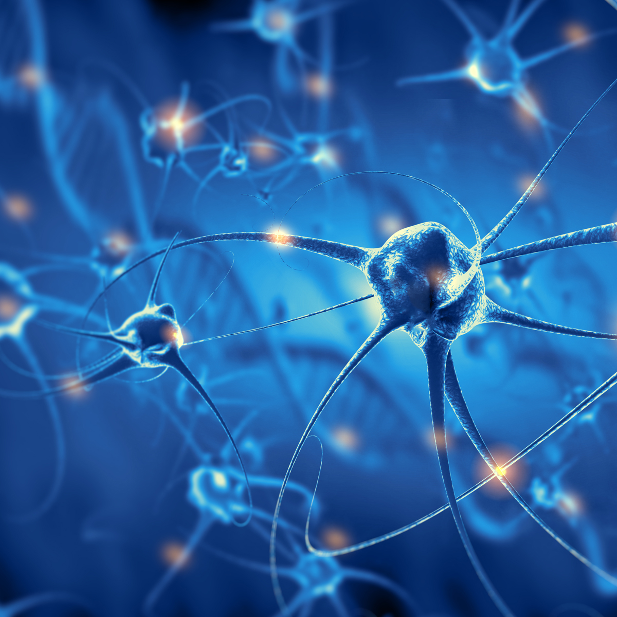 Znečištěné životní prostředí, kouření podporuje vznik volných radikálů