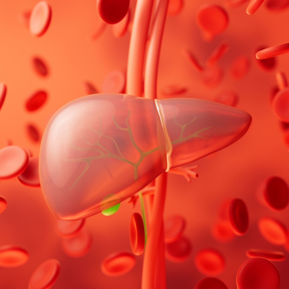 Esenciální fosfolipidy